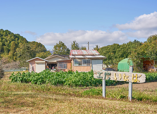 就労継続支援B型・生活介護（工房いなば）